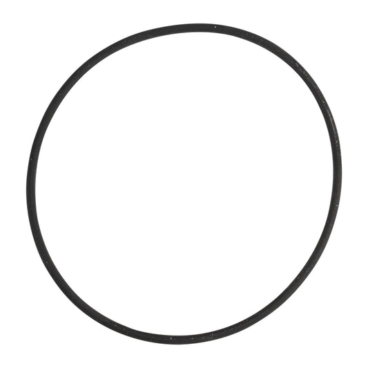 O-ring termostatu