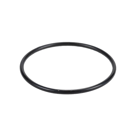 Uszczelka termostatu O-ring