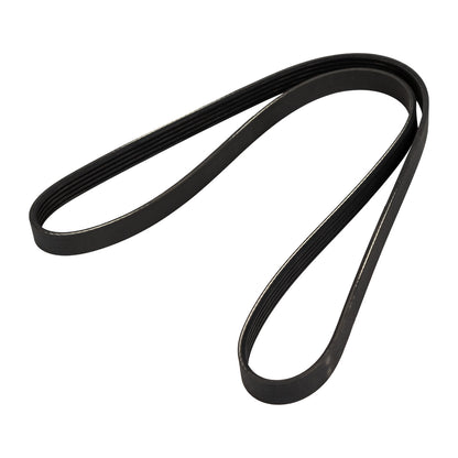 Pasek wieloklinowy 5K1215-8 DAYCO