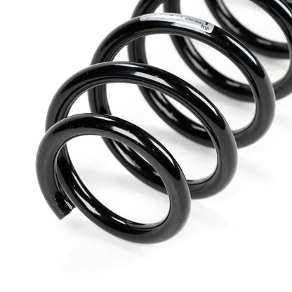 Sprężyna spiralna z tyłu