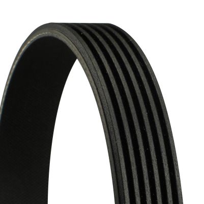 Pasek wieloklinowy Continental 6PK1856 Giulia/Stelvio 2.0